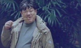 林雪爆料视频大全最新版,娱乐圈幕后真相大曝光