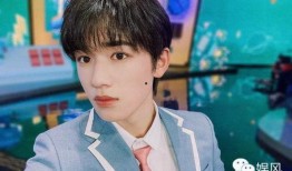 全员爆料宋亚轩视频,全员爆料背后的故事与真相